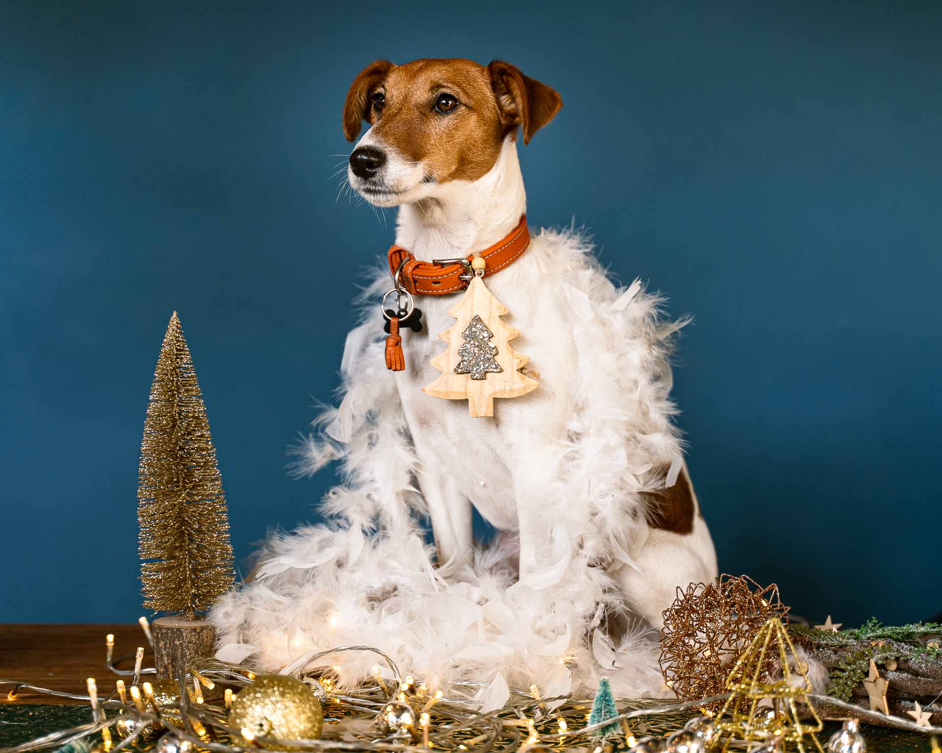 Photographie par Théo Cotten